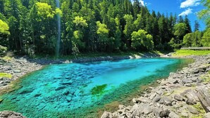A river with clear turquoise water, surrounded by a forested area with trees and rocks. - Qinghe Courtyard Jiuzhaigou (Ngawa Autonomous Prefecture)
