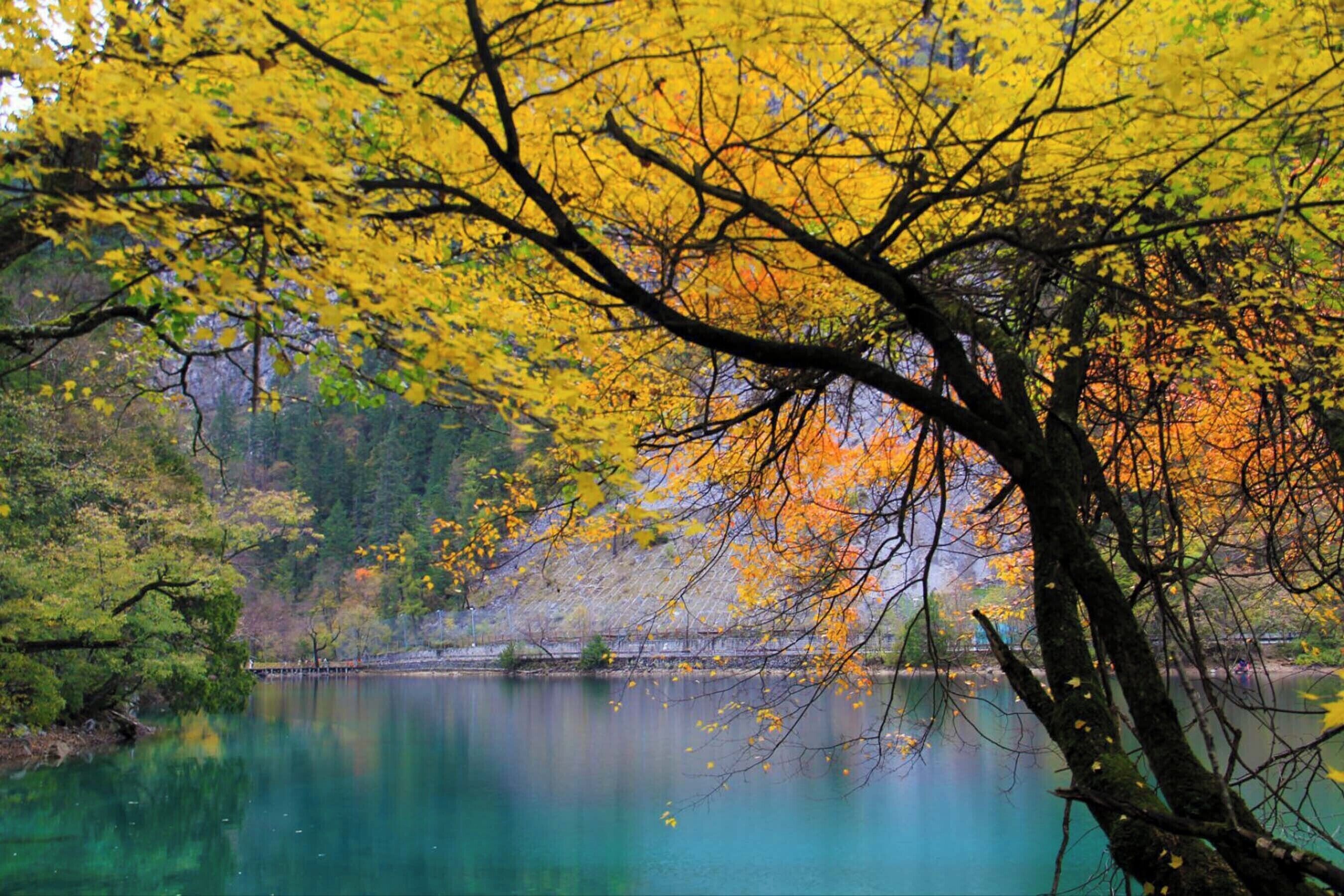 A serene lake surrounded by trees with yellow leaves, a clear sky, and a calm water surface.
