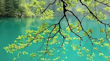 A serene lake with clear turquoise water, surrounded by lush greenery and trees.