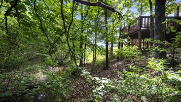 A forested area with a wooden deck structure.