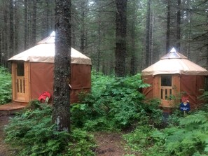 Two wooden yurts in a forest with a forest floor path.