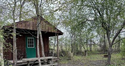 Cozy Rustic Cabin with Fire Ring & Outdoor Seating in Macedon, New York