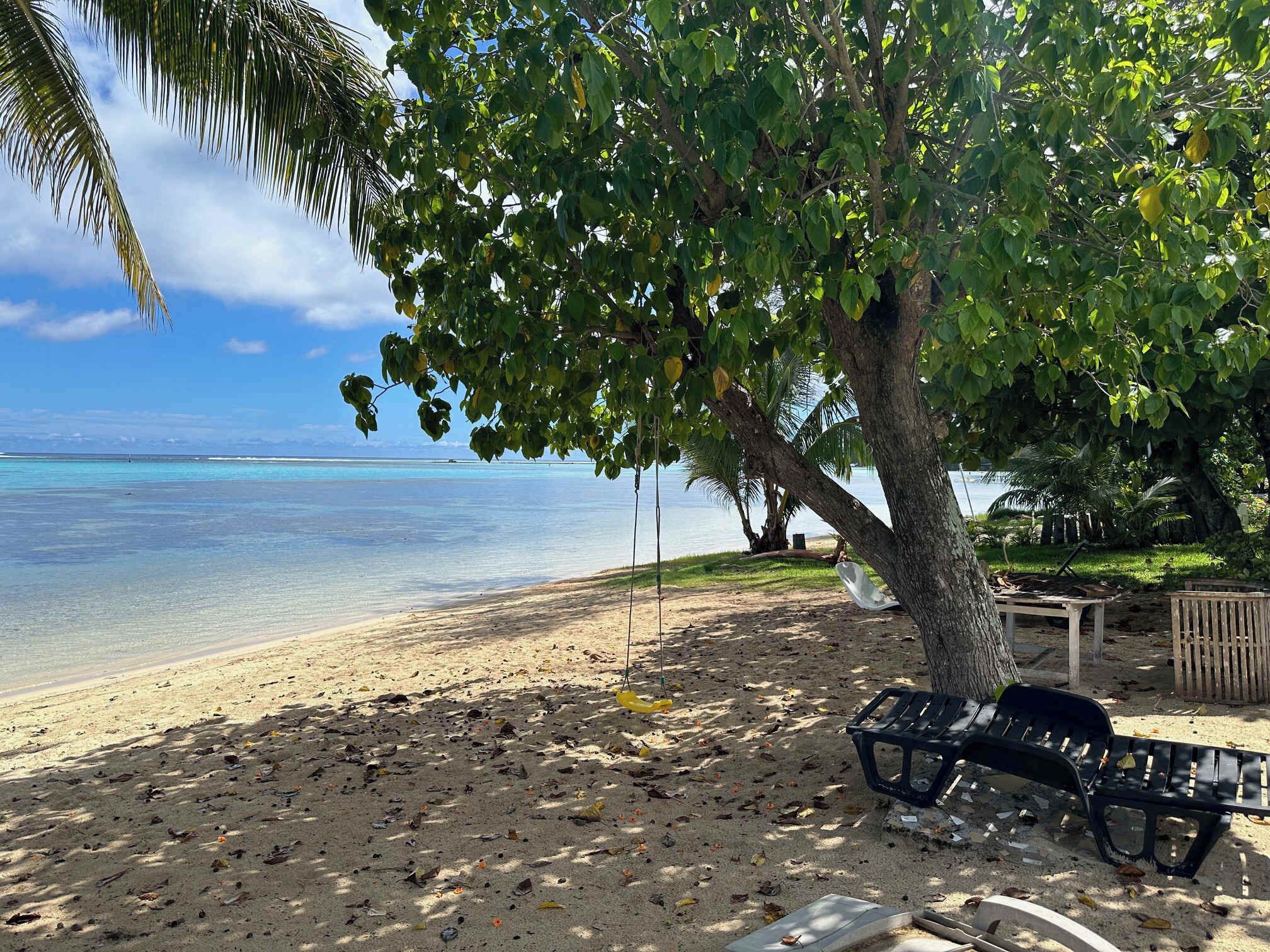 Una playa con una silla hamaca y un banco bajo un árbol, con vista al mar tranquilo.
