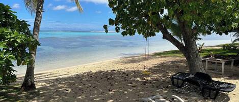 A beach with clear water, a palm tree, and a swing set.