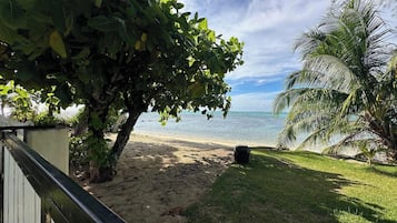 A beach with a sandy shore, a grassy area, and a palm tree.