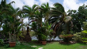 A garden with palm trees, a stone pathway, and a white wall in the background. - Dolce Vita Villa Moorea (Moorea-Maiao)