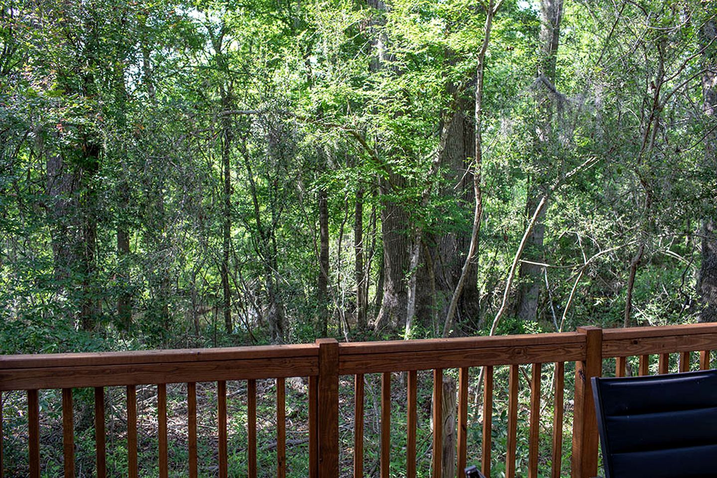 A wooden deck with a view of a dense forest.