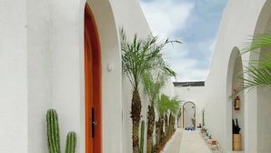 A corridor with white walls, arched doorways, and a row of cacti and palm plants.