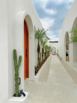 Jardín