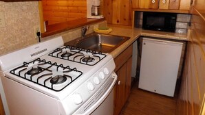 Pieni, käytännöllinen keittiö, jossa on liesi, pesuallas, mikroaaltouuni ja pieni jääkaappi.