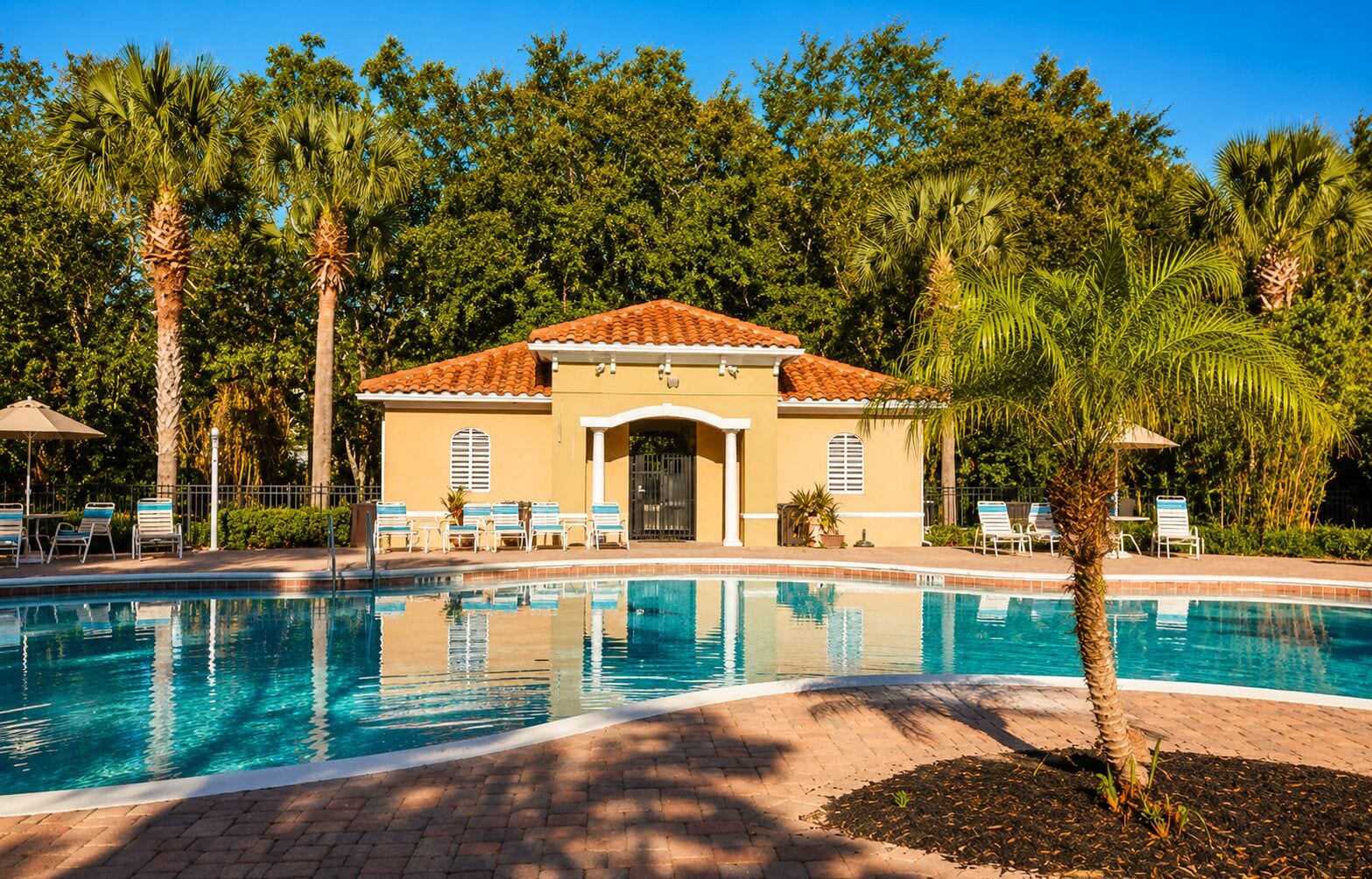 Outdoor pool, pool umbrellas, sun loungers