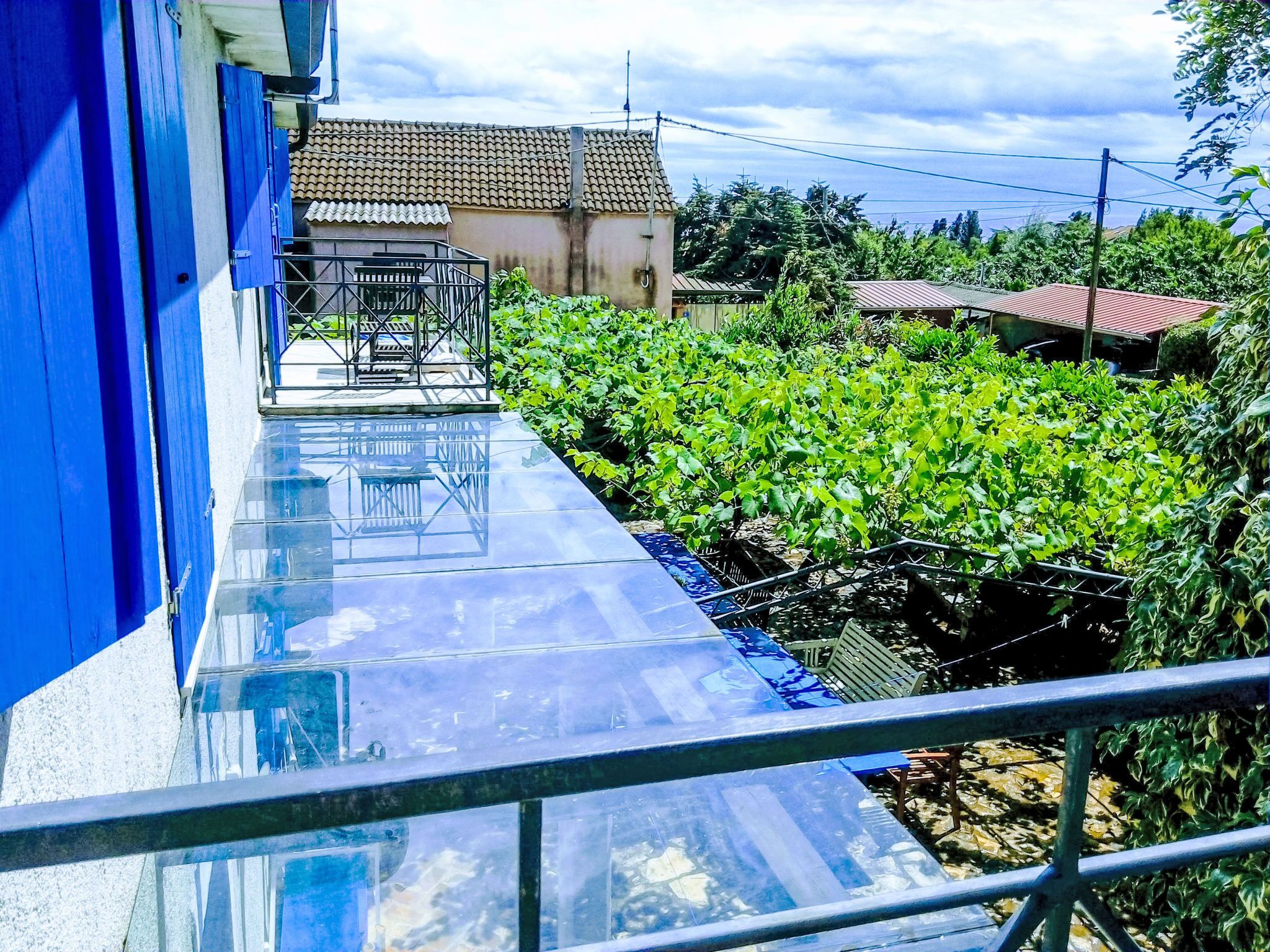 Una terraza en la azotea con piso de vidrio, un edificio azul y un jardín con plantas verdes.