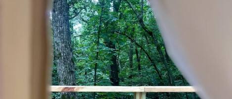 A wooden deck with a rope barrier, a chair, and a view of a forested area.