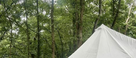 A tent on a wooden platform in a forest.