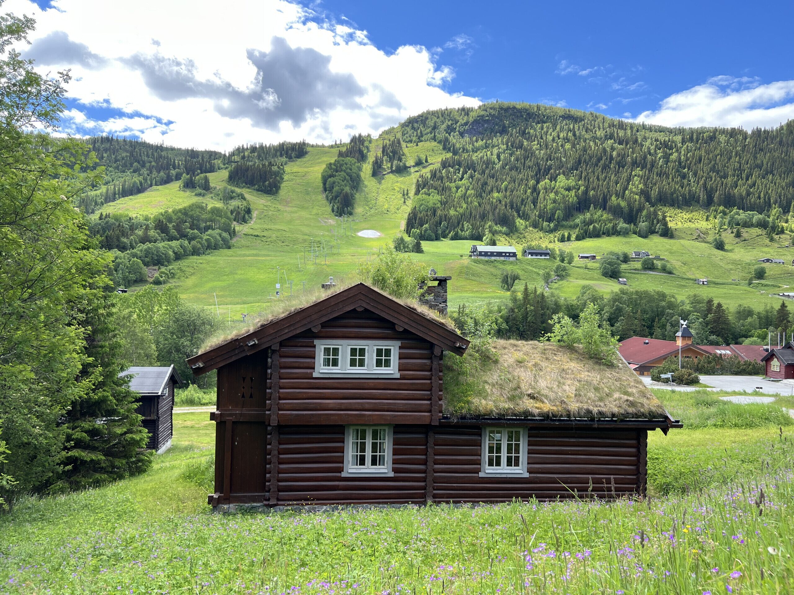 Eksteriør