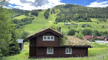 Eksteriør