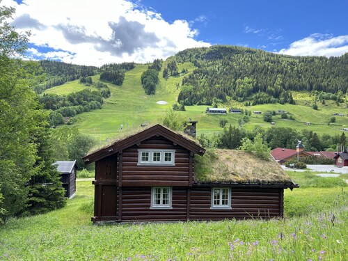 Mountain cabin 8 in Ål with Sauna