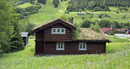 Mountain cabin 8 in Ål with Sauna