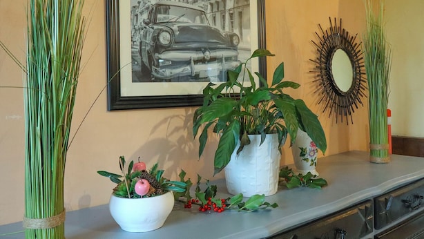 A framed vintage car photo, a white vase with green foliage, and a mirror on a wall. - Farmhouse Vacation Rental for 15 People Near the Somme Bay (Friville-Escarbotin)