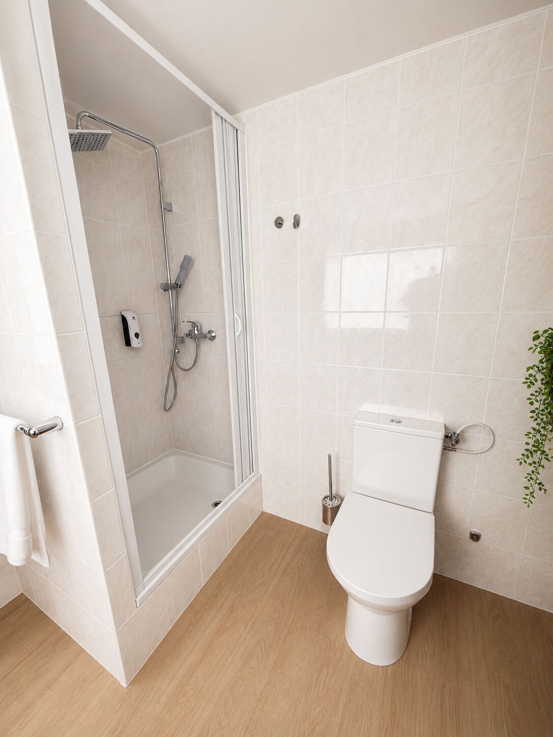 Un baño con ducha de mampara de vidrio, inodoro y una planta pequeña.