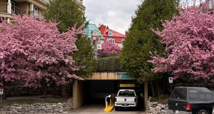 Tremblant Pedestrian Village Condo - Johanssen