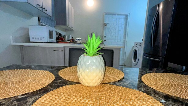 Eine Küche mit Kochinsel, einer Waschmaschine und einem Kühlschrank.