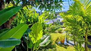 A lush garden with various tropical plants and a view of a building in the background. - La Caze Na Nou - elegant villa with a private pool (Saint Gilles les Bains)