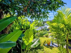 Property grounds - La Caze Na Nou - elegant villa with a private pool (Saint Gilles les Bains)