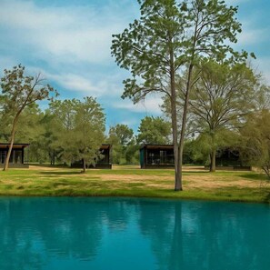 Une propriété au bord du lac, dotée de chalets modernes, d’une pelouse et d’arbres.