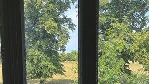 Een uitzicht op een parkeerplaats en bomen vanuit een raam.