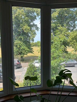 Ein Fenster mit Blick auf einen Parkplatz und Bäume.