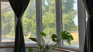 Een kamer met een groot raam, een plant in een pot op een kastje, en donkere gordijnen.