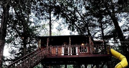 Enchanting Forest Treehouse Hideaway with Farm Activities near Bingham Creek in Forestburg, Texas