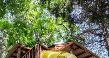 Enchanting Forest Treehouse Hideaway with Farm Activities near Bingham Creek in Forestburg, Texas
