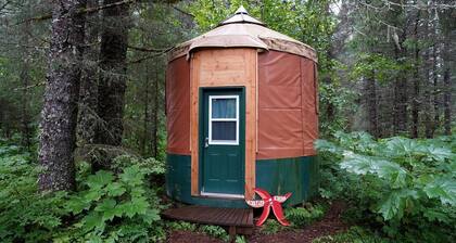 Family Friendly Yurt for Alaska Glamping