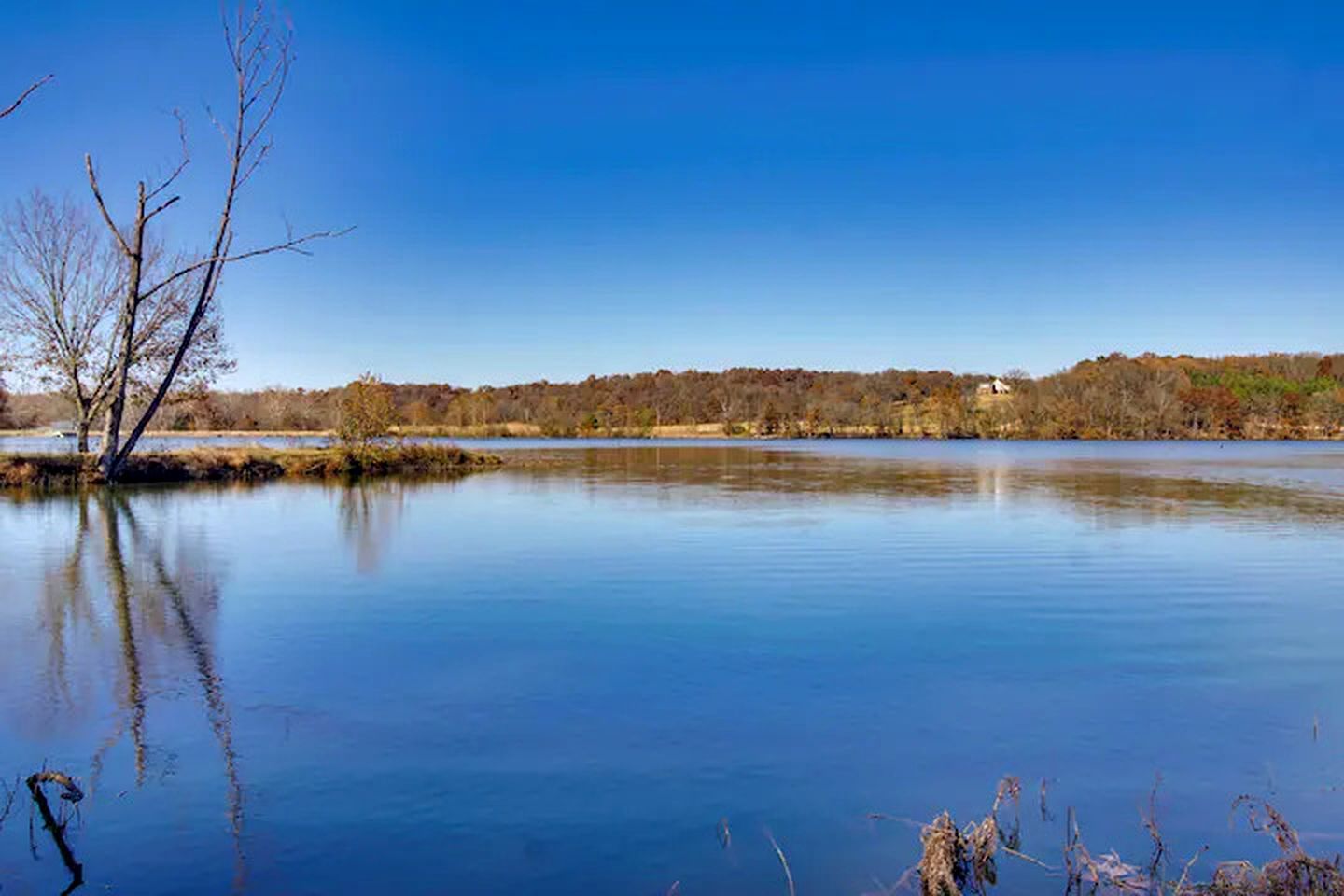 Un lago tranquilo con cielo despejado, árboles y una orilla lejana.