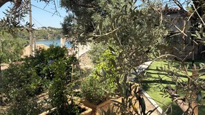 A garden with olive trees, a stone wall, and a view of a lake. - Peace and quiet, vacation, view of the pond, Varages Beach (Saint mitre les remparts)