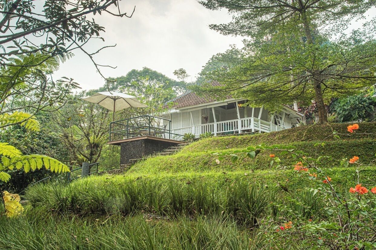 Villa Lantana | Garden view