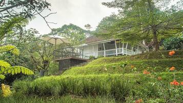 Villa Lantana | Garden view