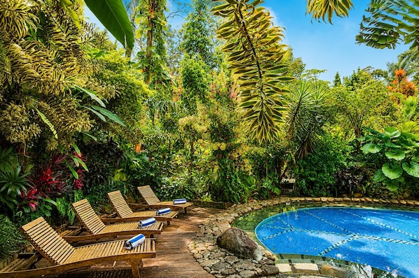 A poolside area with lounge chairs and a swimming pool surrounded by lush tropical vegetation.