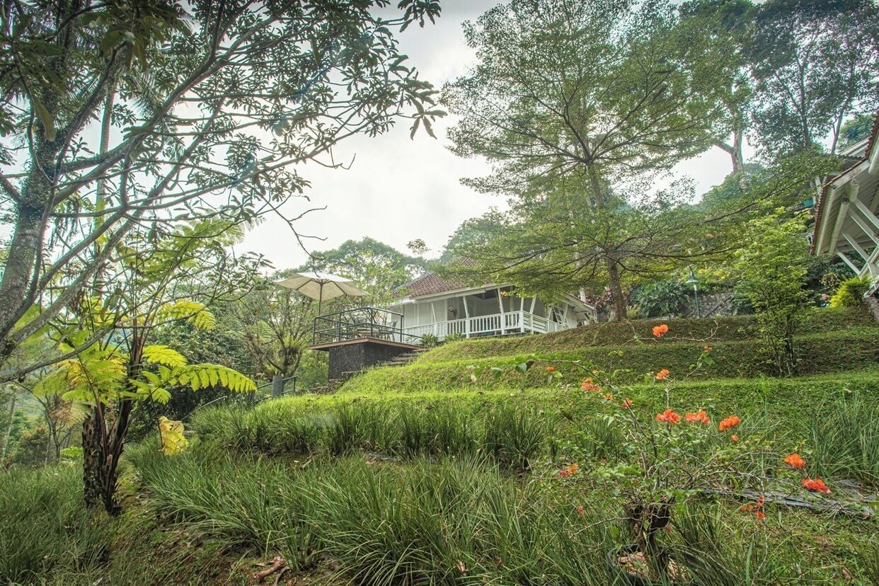 Villa (Lantana) | Vistas al jardín