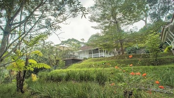 Villa (Lantana) | Vistas al jardín