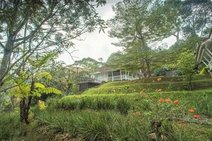 Vista al jardín