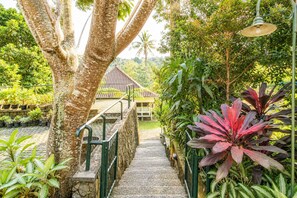 A pathway leading to a house with a tiled roof, surrounded by lush greenery and potted plants.