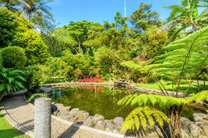 Un jardín tranquilo con un estanque, abundante vegetación y un cielo despejado.