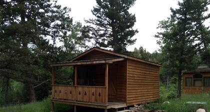 Traditional Family-Friendly Log Cabin near Helena
