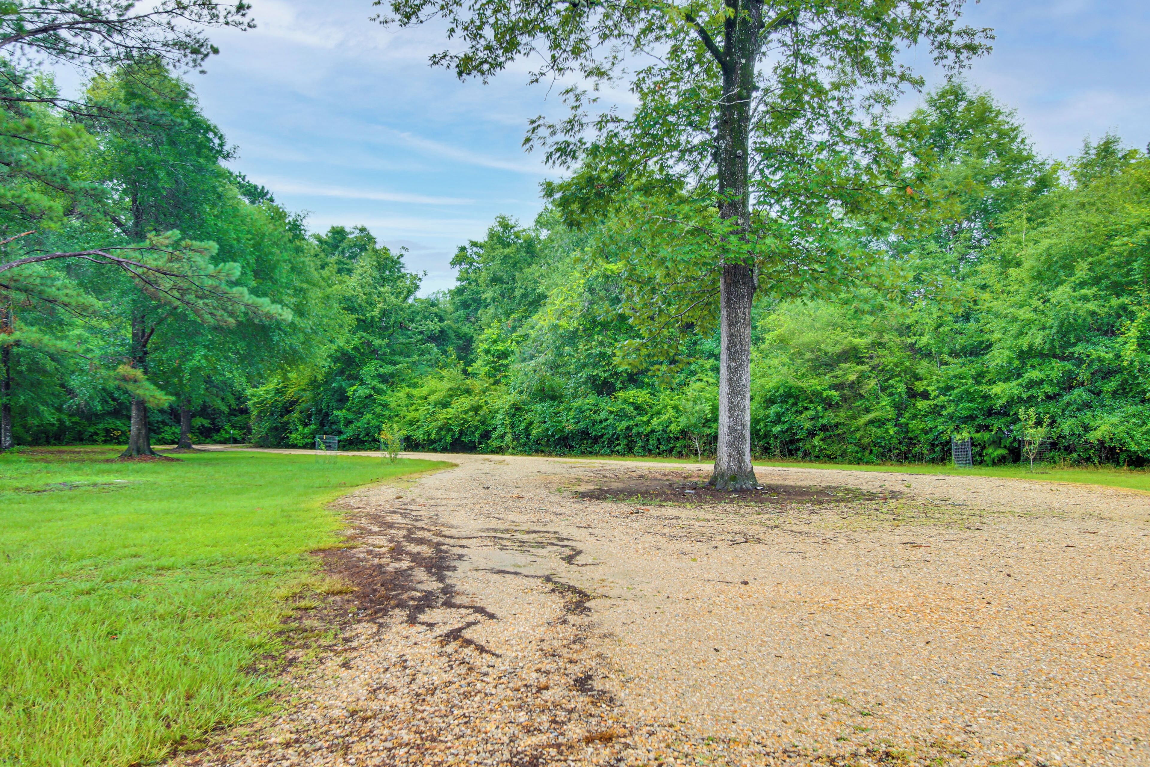 A gravel path leading into a wooded area with trees and grass.