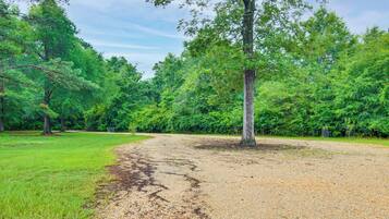A gravel path leading into a wooded area with trees and grass.
