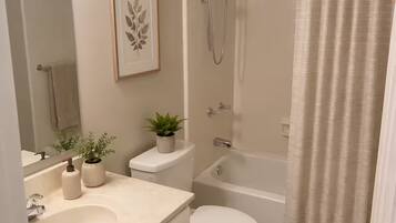 Hair dryer, towels, toilet paper