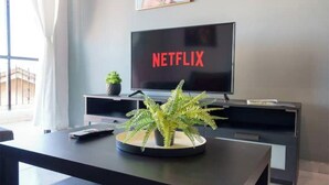 Un saló modern amb un televisor de pantalla plana que mostra 'NETFLIX', un clorofil·la en un gresol rodó i un sofà de color fosc.
